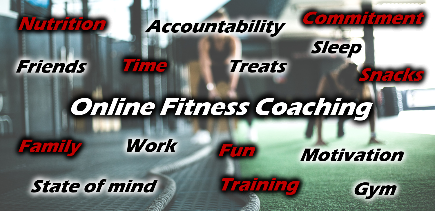 Online Fitness Coaching banner